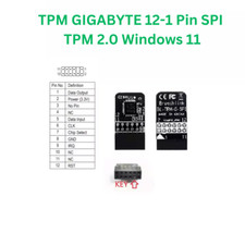 TPM 2.0 Gigabyte 12-1 pin SPI | Trusted Platform Modul | Windows 11 | NEU