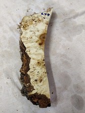 Pappel Maser Mapa 32 x 9 - 1 x