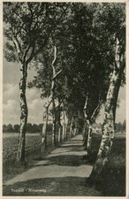 AK Tostedt Birkenweg, Allee