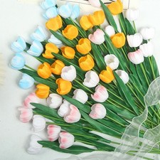 Zimmerpflanzen lebensechte