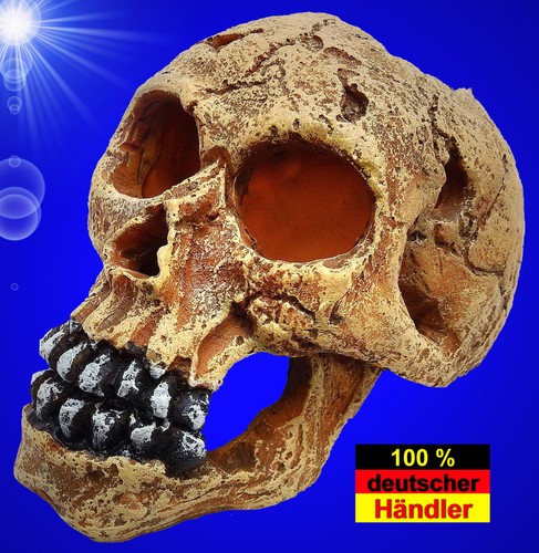 Aquarium deko totenkopf - aquarium, ❤