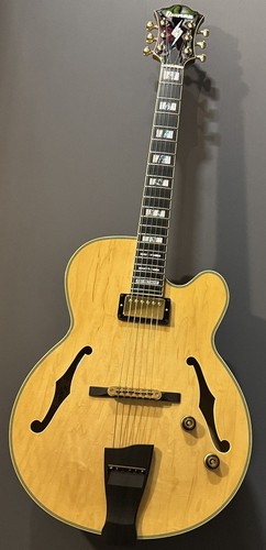 Ibanez pm200 natural pat - ibanez,