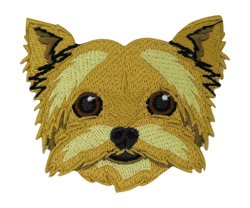 Yorkshire terrier hund - terrier, patch