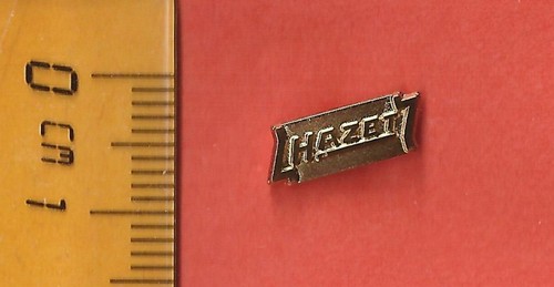 Hazet werkzeug pin - hazet,