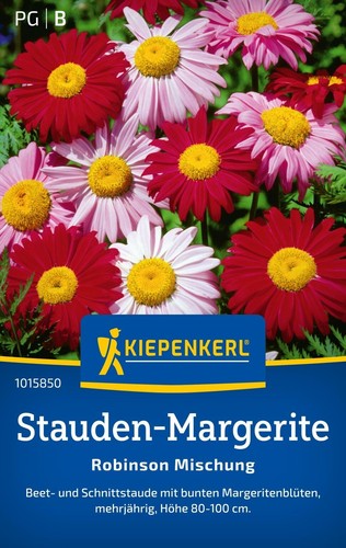 Stauden margerite - stauden,