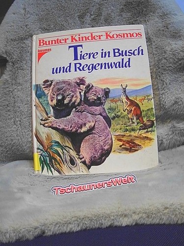 Tiere busch und regenwald - in,