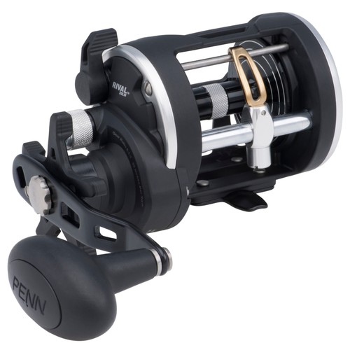 Penn rival level wind reel - penn,