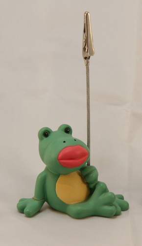 Frosch nici mit foto oder - frosch,