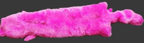 Fuchspelz echter blaufuchs - fuchspelz,