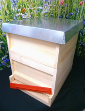 Zander 10er beute - zander,
