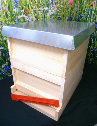Zander 10er beute - 10er,