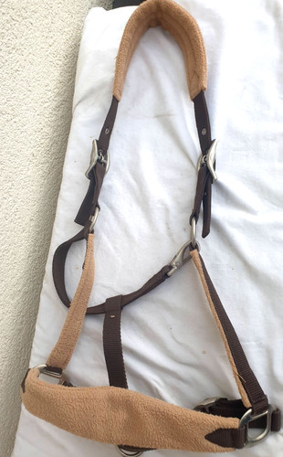 Halfter warmblut braun - halfter,