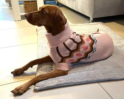 Hundepullover pulli großer - hundepullover,
