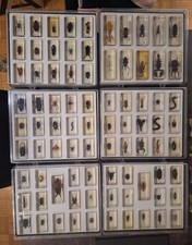 Minibiester sammlung 2 - minibiester, 91
