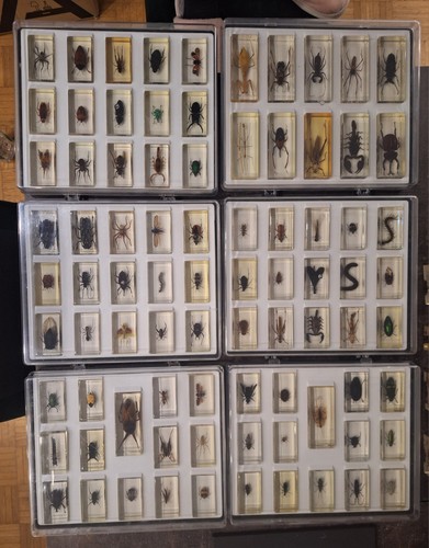 Minibiester sammlung 2 - sammlung, 91