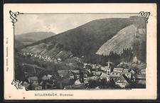 Mellenbach blumenau - ak, mellenbach-blumenau