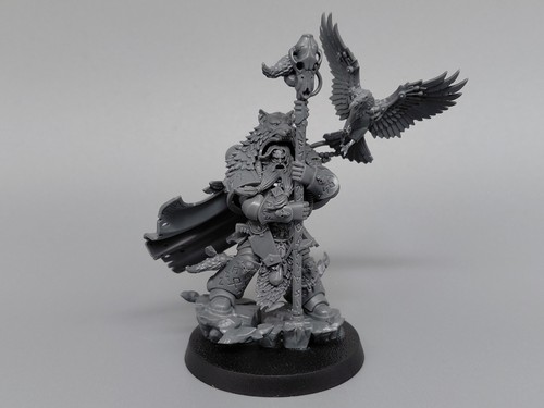 Njal stormcaller space - njal, wolves