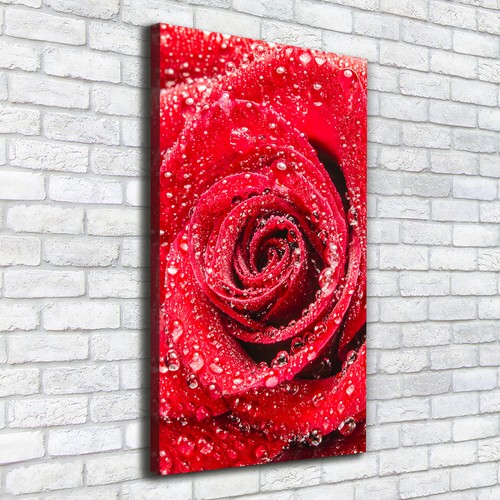 Leinwand bild kunstdruck - leinwand-bild,