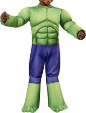 Hulk Kostüm Rubie’s Marvel Spidey und seine erstaunlichen Freunde XS 702737