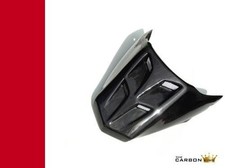 Ducati Monster 696 796 1100 Carbon Rücksitz Haube Einheit Verkleidung IN Uni
