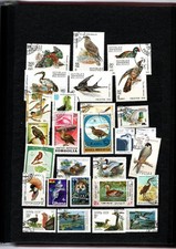 Vögel buntes Lot
