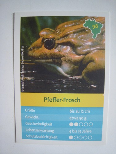 Entdecke brasilien - entdecke,