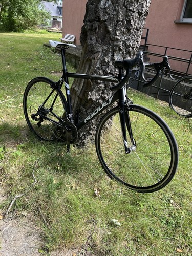 Campagnolo record fach an - record, 12-fach