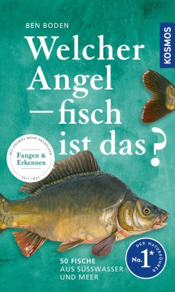 Welcher angelfisch ist - angelfisch, das?