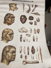 alte Rollkarte Schulwandtafel