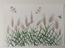 Fensterbild Pampasgras Biene