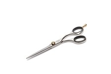 Jaguar Friseurschere Silver