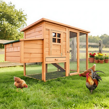 Hühnerstall Hühnervoliere