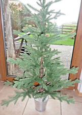 Balsam Hill alpiner Weihnachtsbaum Tanne schlanke Form 122 cm