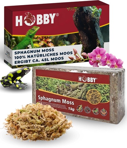 Hobby terraristik sphagnum - terraristik,