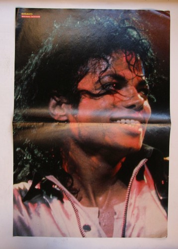 Michael jackson bravo poster - jackson,