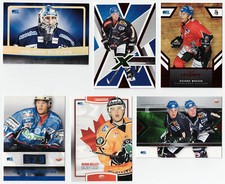 DEL 2008/2009 Eishockey