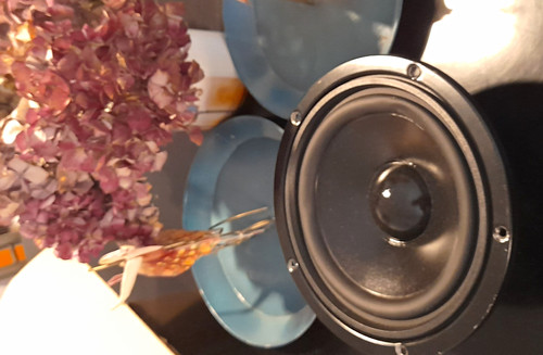 Visaton 170 woofer 4 - w,