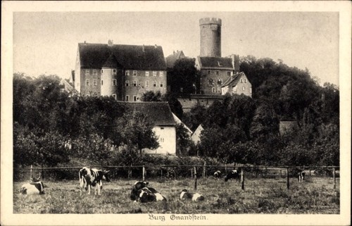 Gnandstein kohren sahlis - ak,