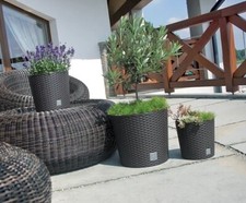 Blumentopf Blumenkübel