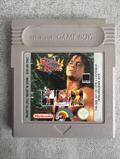 King of the Ring Nintendo Game