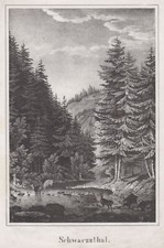 Schwarzatal Original