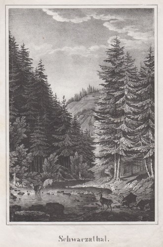 Schwarzatal original - schwarzatal,