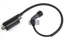 Zündspule für Jinling Jla - 931e 276 ccm 300ccm Jingling Automatik