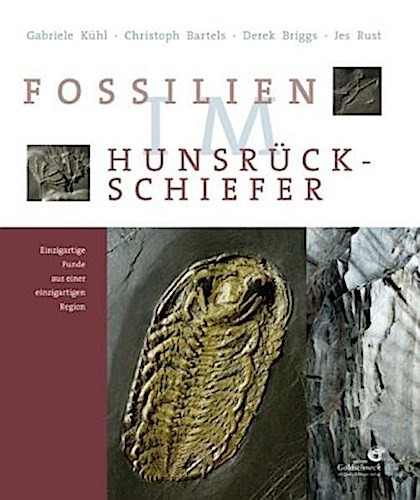 Fossilien hunsrück - fossilien,