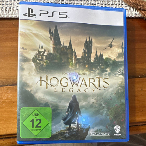 Hogwarts legacy ps5 pal harry - hogwarts,