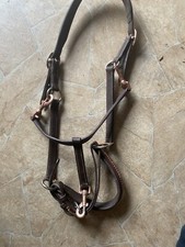 Leder Halfter dunkelbraun mit Straßsteinen am Nasenriemen Gr. VB