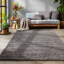Einfarbig Hochflor Shaggy
