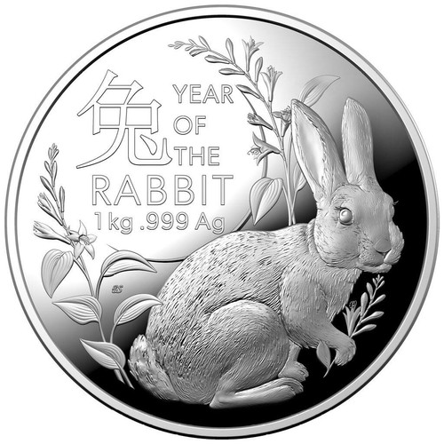 Silbermünze 1kg jahr des - jahr,