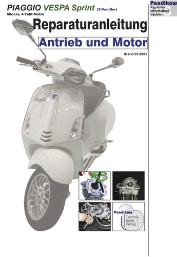 Reparaturanleitung ris vespa - reparaturanleitung,