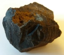 Verkieseltes Holz aus der